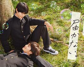 seo竞价怎么做推广